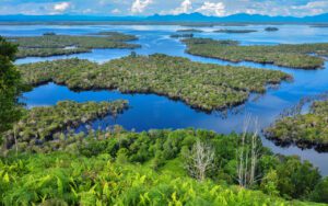 Di Kalimantan