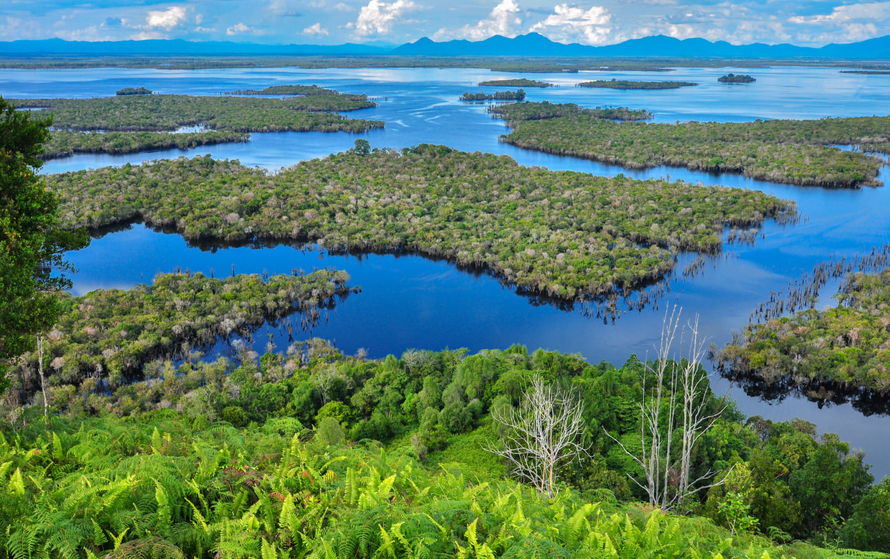 Di Kalimantan